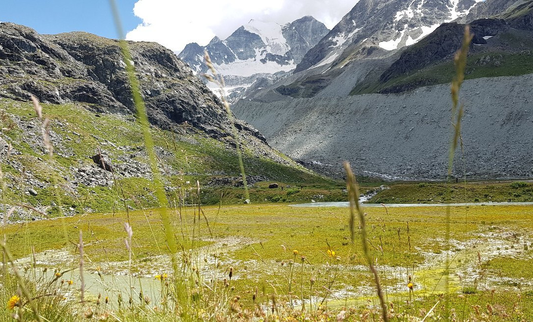 Moiry Glacier景点图片