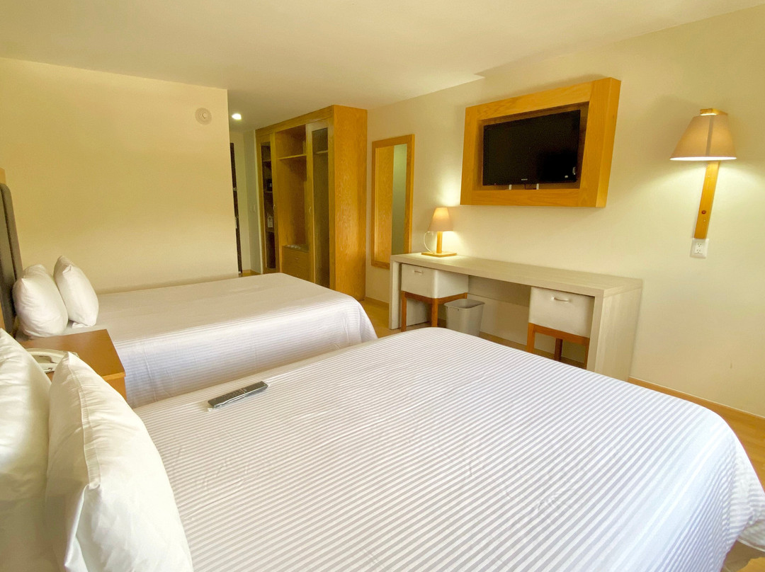 Paris FC Express主图