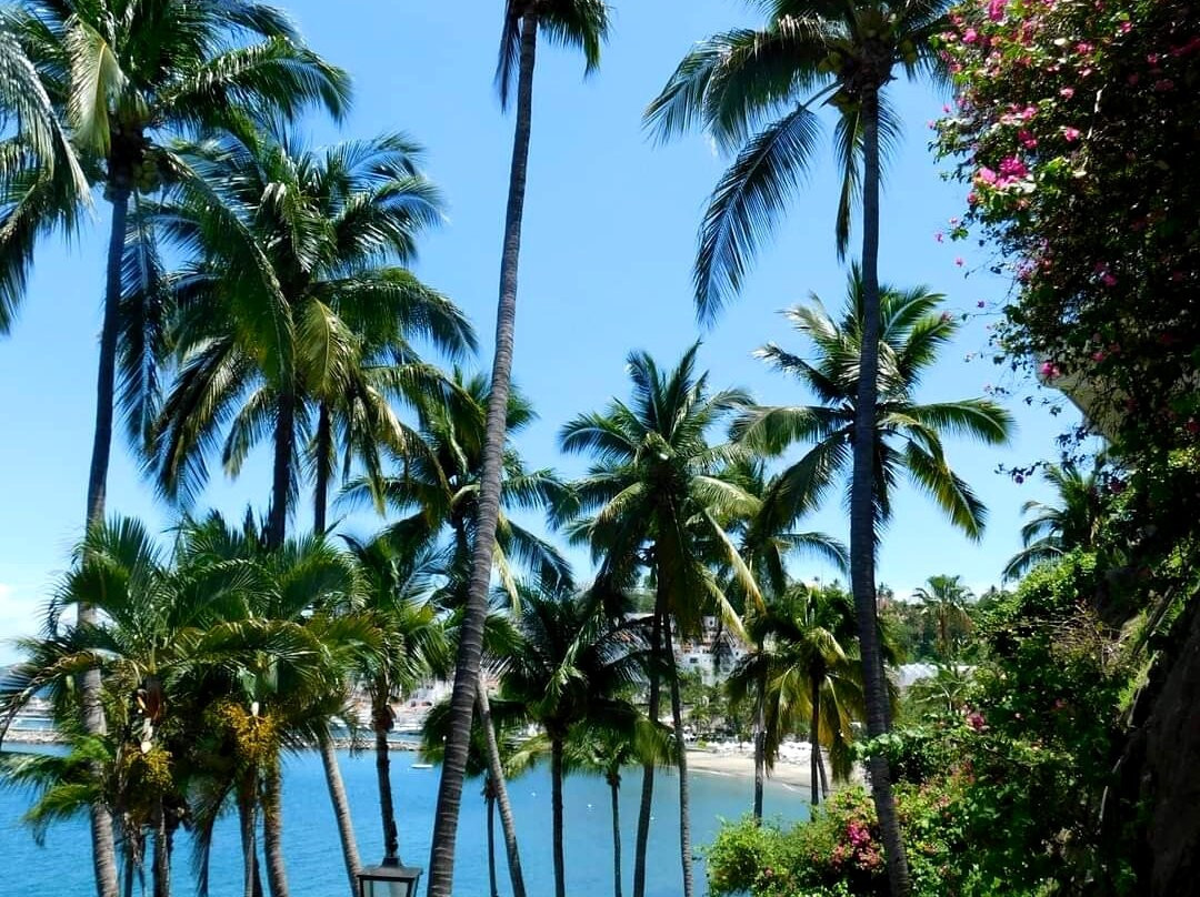 Dolphin Cove Inn主图