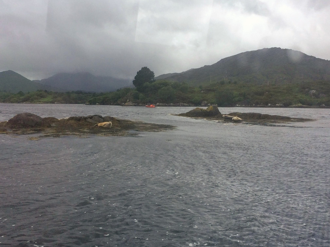 The Blue Pool Ferry-Glengarriff必去景点