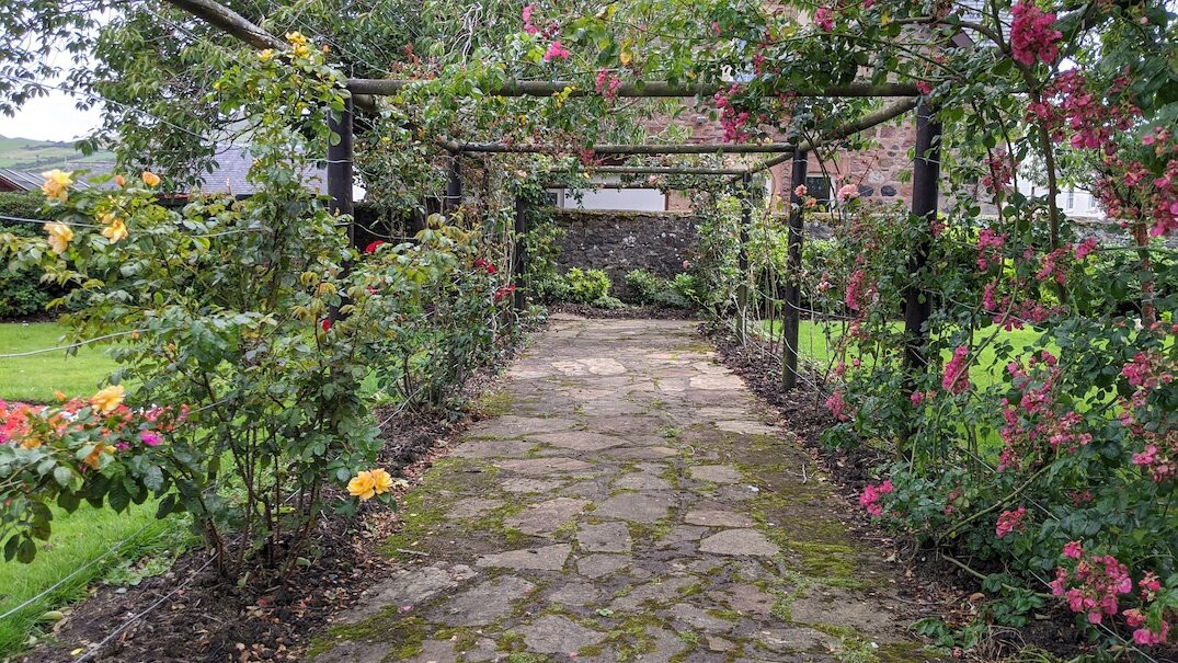 Orchard Gardens景点图片
