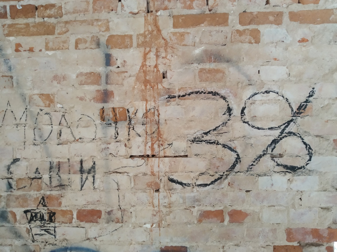 Manor of the Plyatery-Opsa必去景点