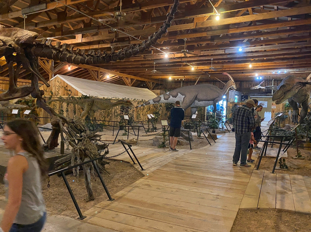 Dinosaur Museum景点图片