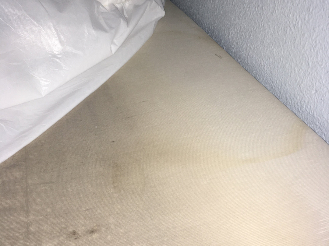Ibis Budget Nancy Porte Sud主图