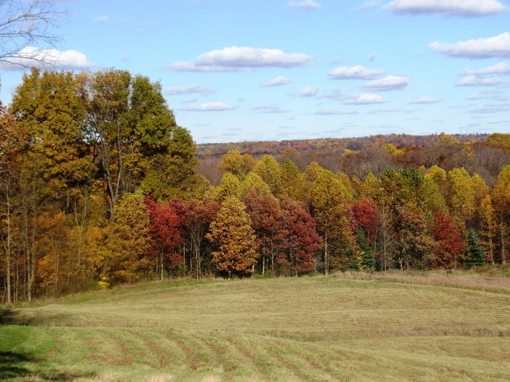 Allardale-Medina必去景点