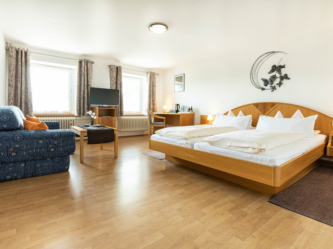 Hotel Landgasthof zum Pflug主图