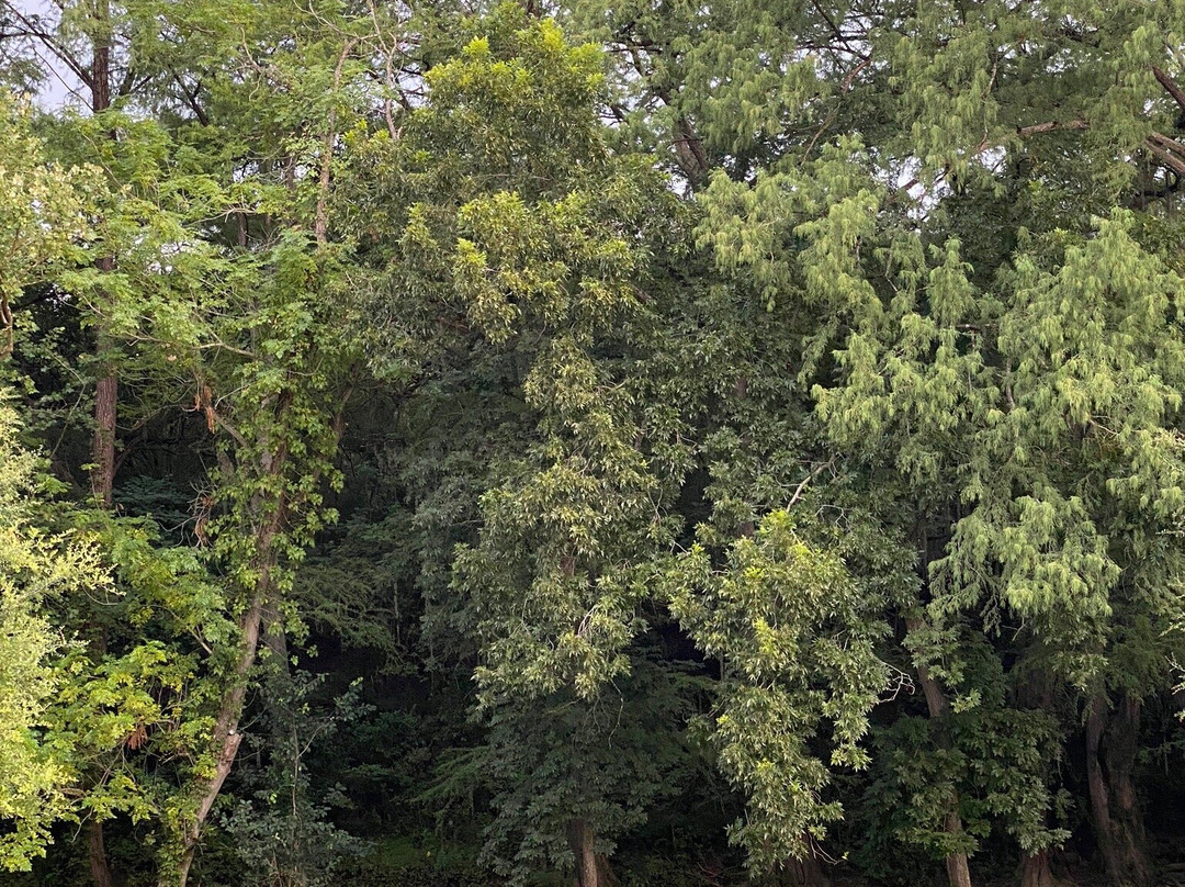 Ikaan Villa Spa主图