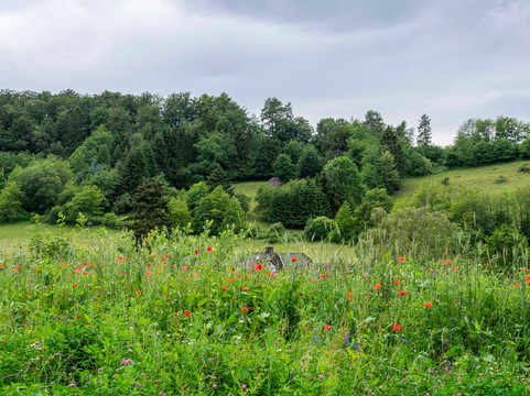 B&B Sauerland TCF = 民宿 Sauerland TCF主图