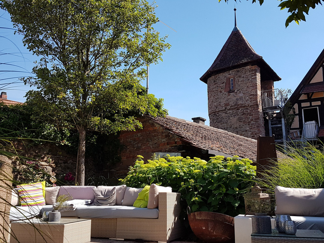 Hotel Die Reichsstadt主图