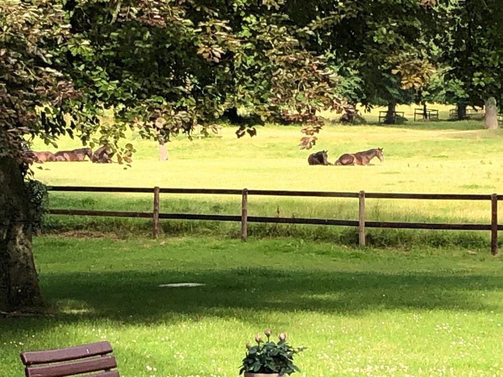 Hotel Ole Liese主图