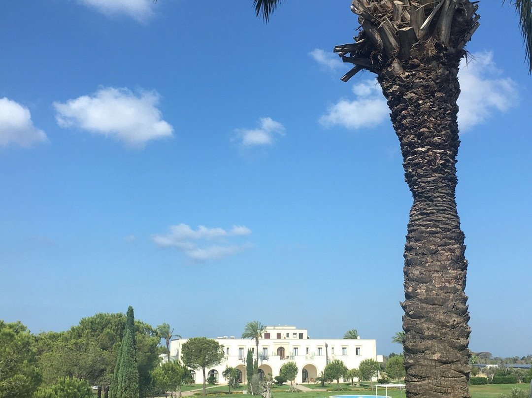 Tenuta la Baronessa主图