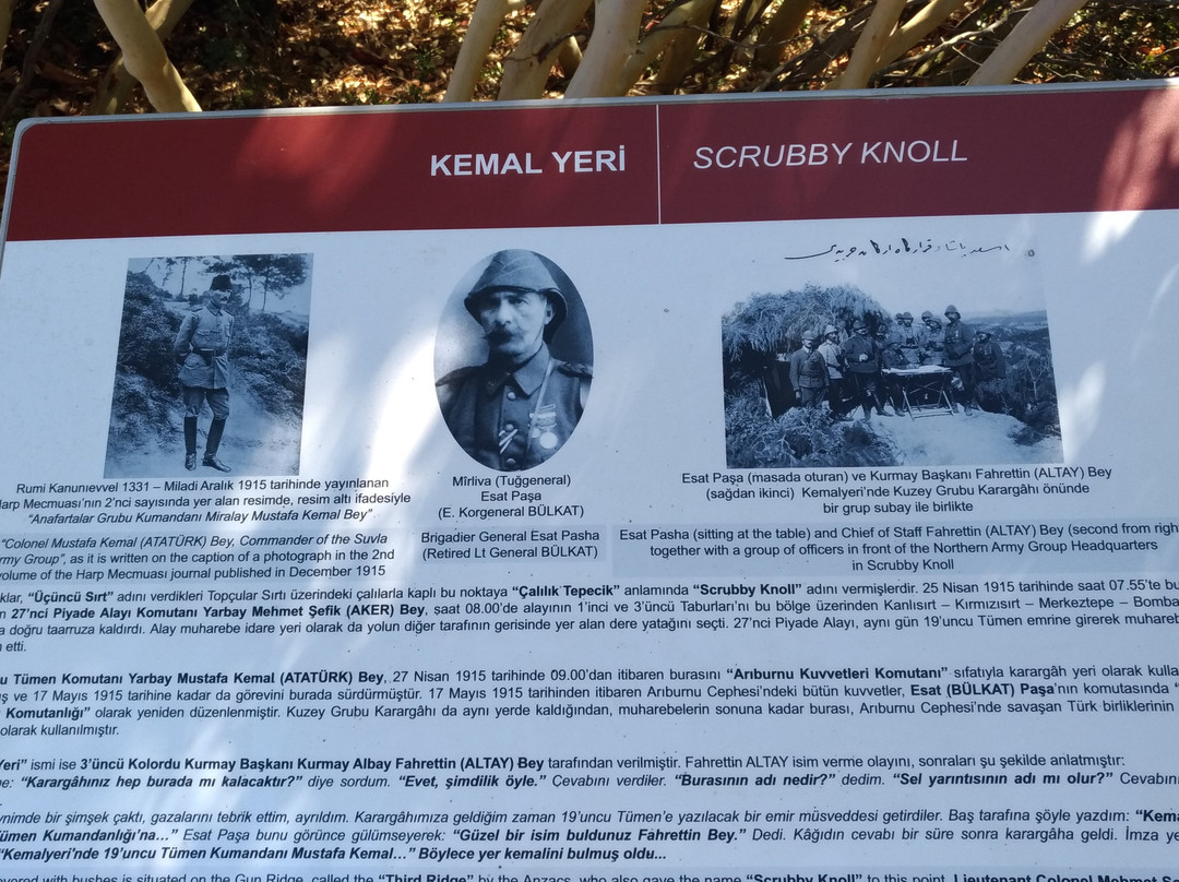 Conk Bayiri Mehmetçik Park Aniti Kemalyeri Yaziti景点图片