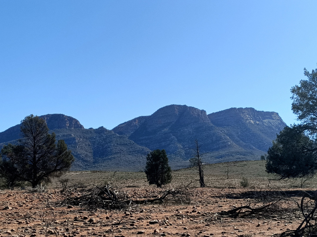 Wilpena Pound景点图片