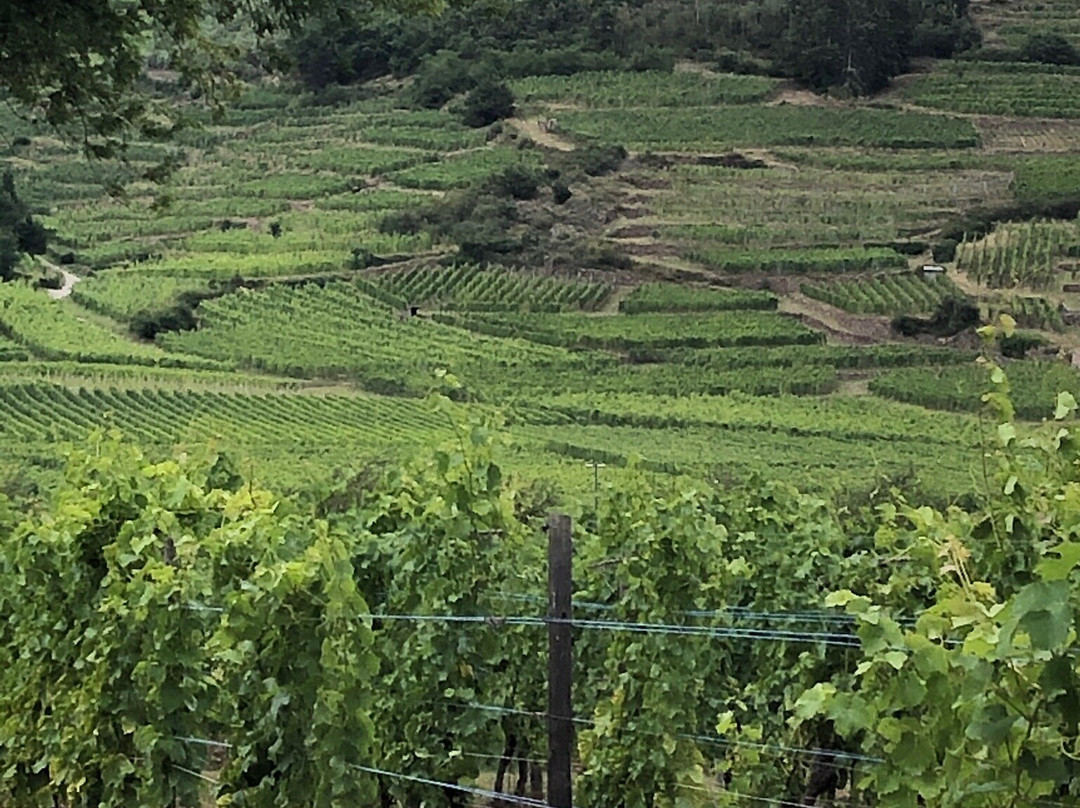 Domaine Weinbach-Kientzheim必去景点