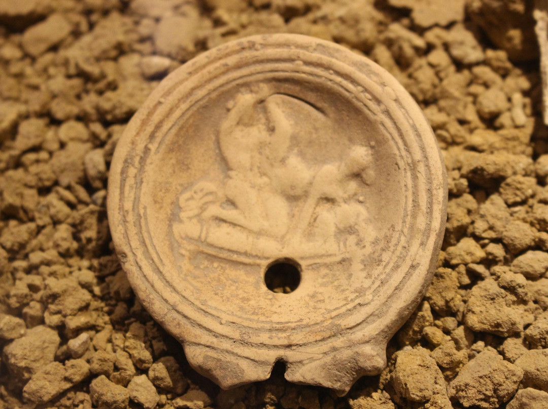 Musee Romain de Lausanne-Vidy-洛桑必去景点