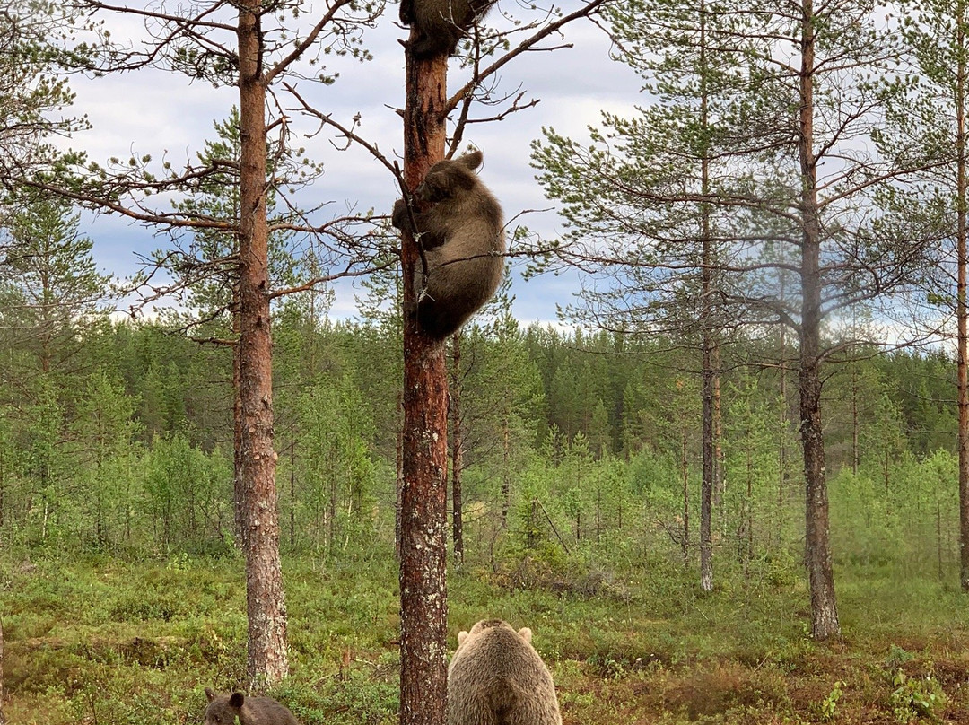 Martinselkosen Erakeskus主图