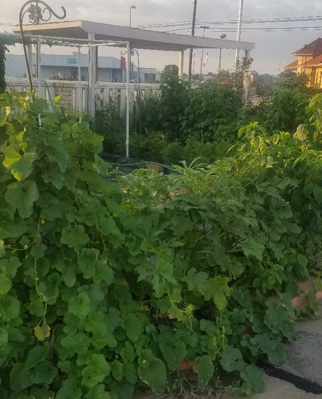 Regency Inn Gatesville主图