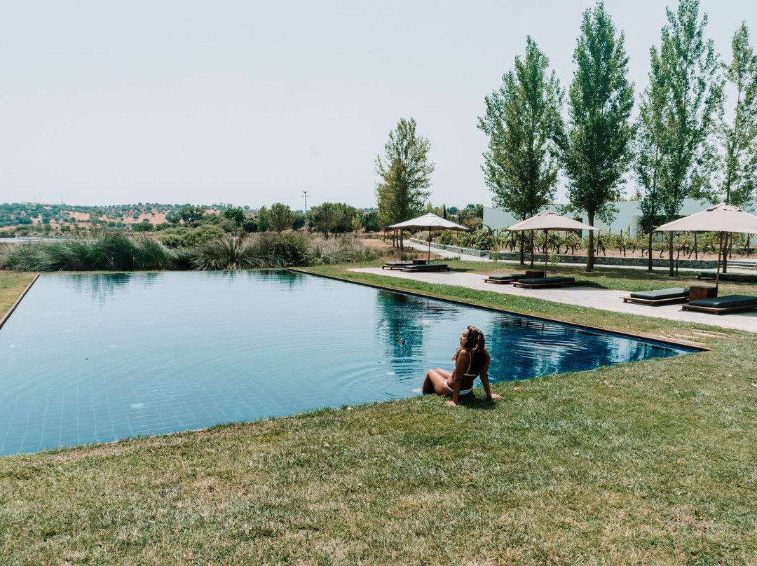 L'AND Vineyards主图