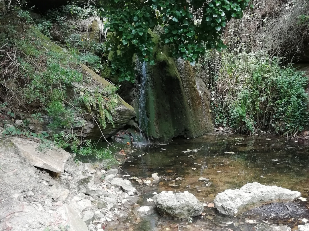 Cascata do Magoito景点图片