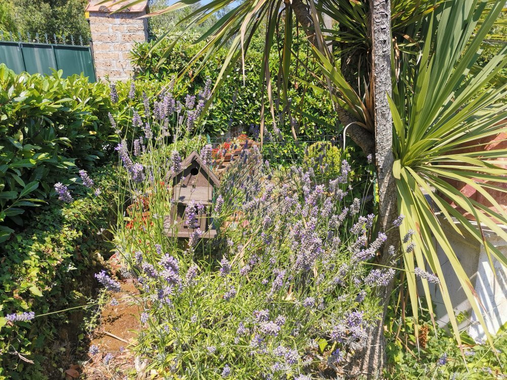 Villa Clementina Hotel主图