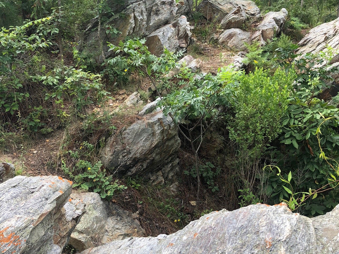 Cherokee Ridge Alpine Trail景点图片