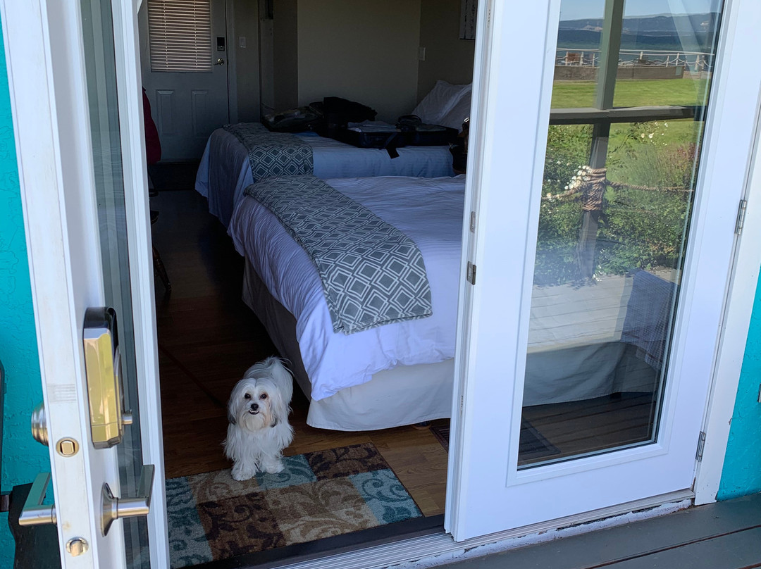 Lighthouse Motel主图