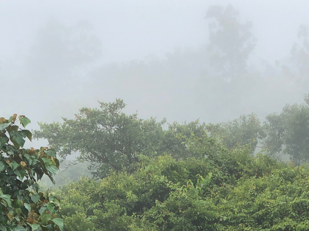 Club Mahindra Madikeri, Coorg主图