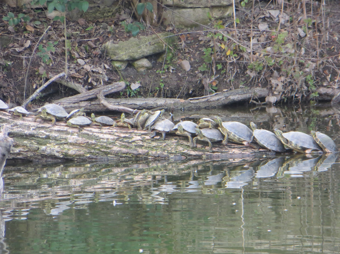 River Road Park-Boerne必去景点
