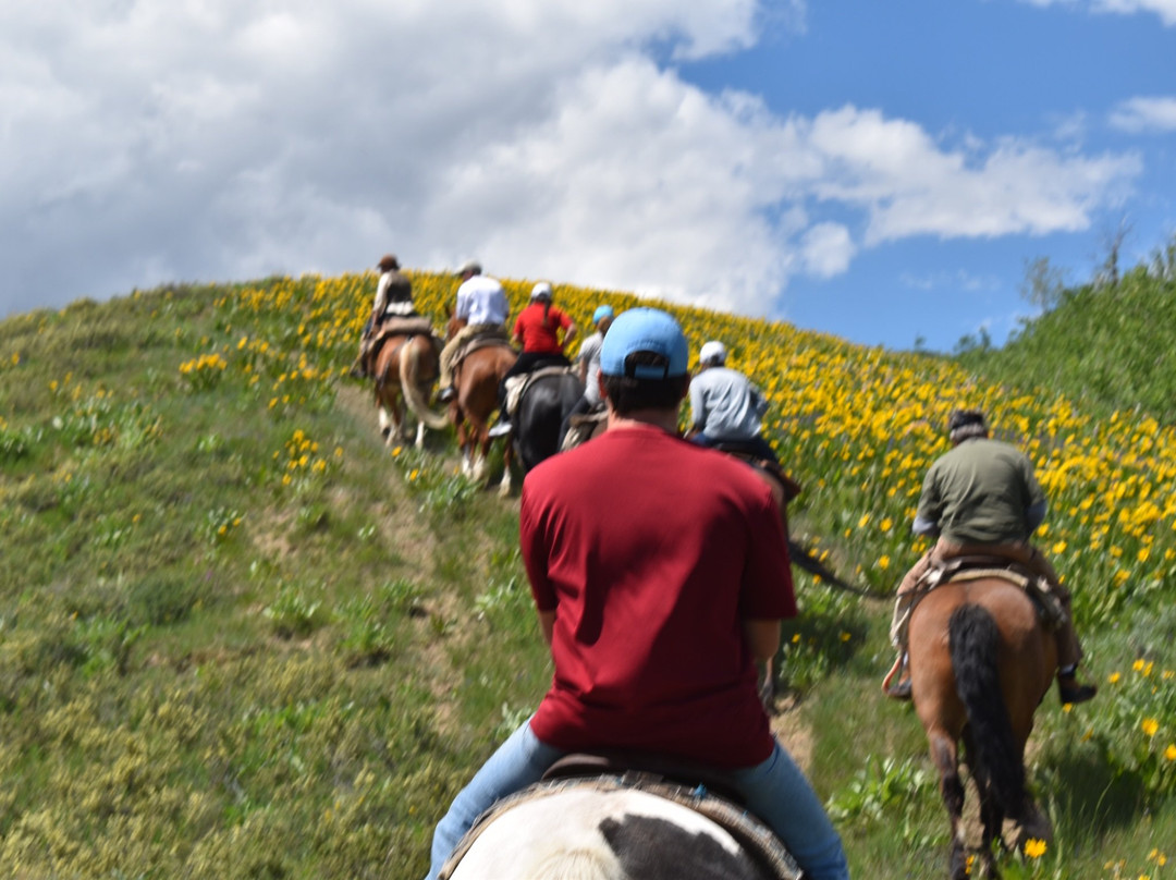 Sleeping Indian Outfitters Day Tours景点图片