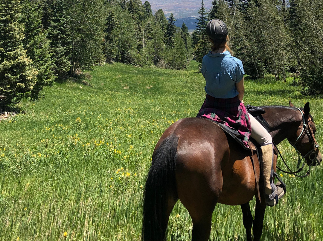 Enchantment Equitreks-Edgewood必去景点