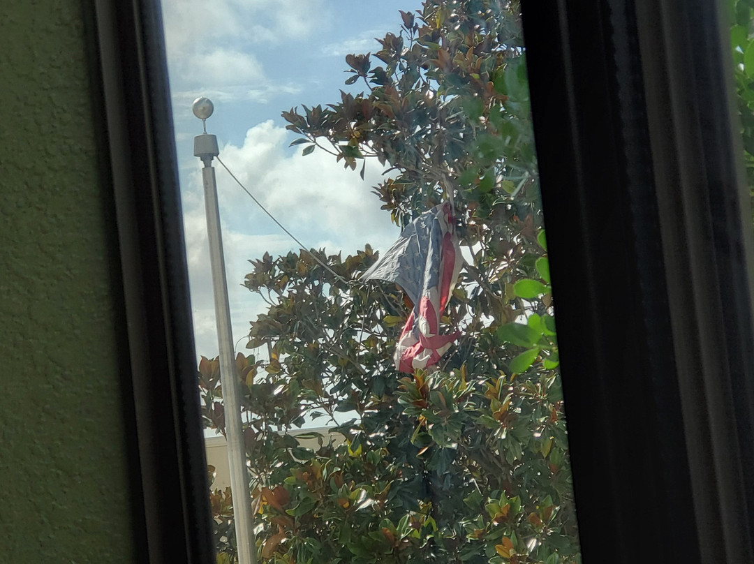 Holiday Inn Express & Suites Austin Ne - Hutto By IHG主图