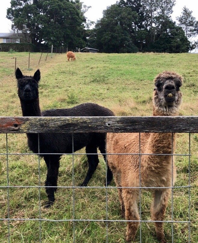 Seaview Farm Retreat主图