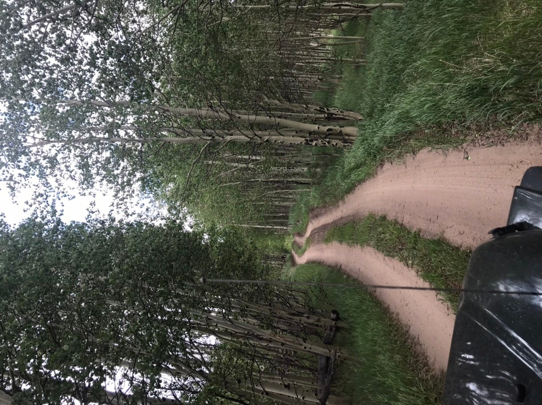 Pathfinders 4x4-Saguache必去景点