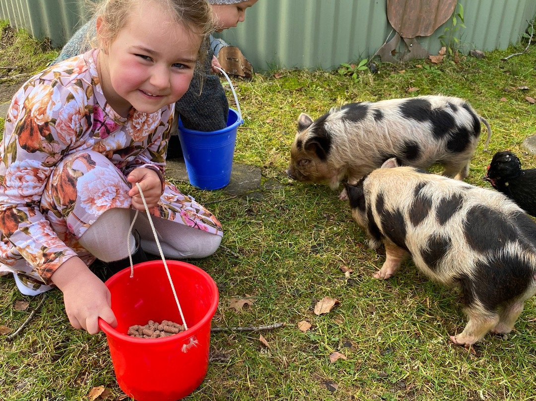Lilliput Farm Fun And Animal Park景点图片