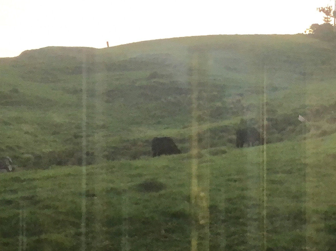 Shores Accommodation主图