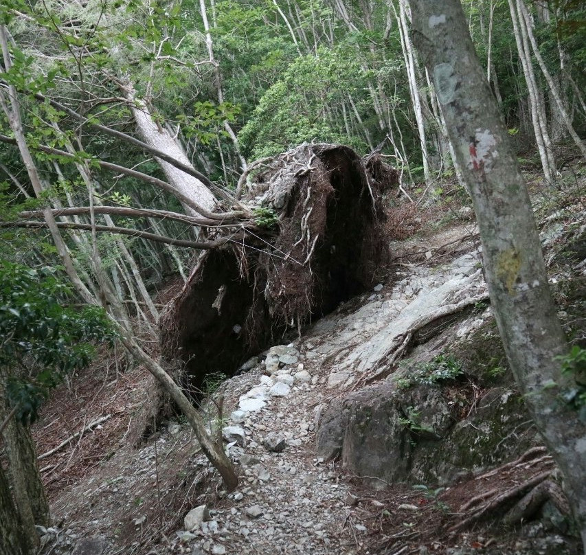 Mt. Kenashi景点图片