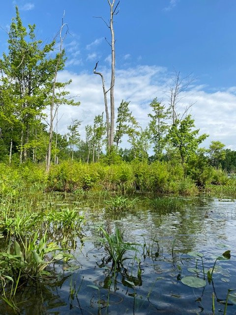 Tully Lake-Tully必去景点
