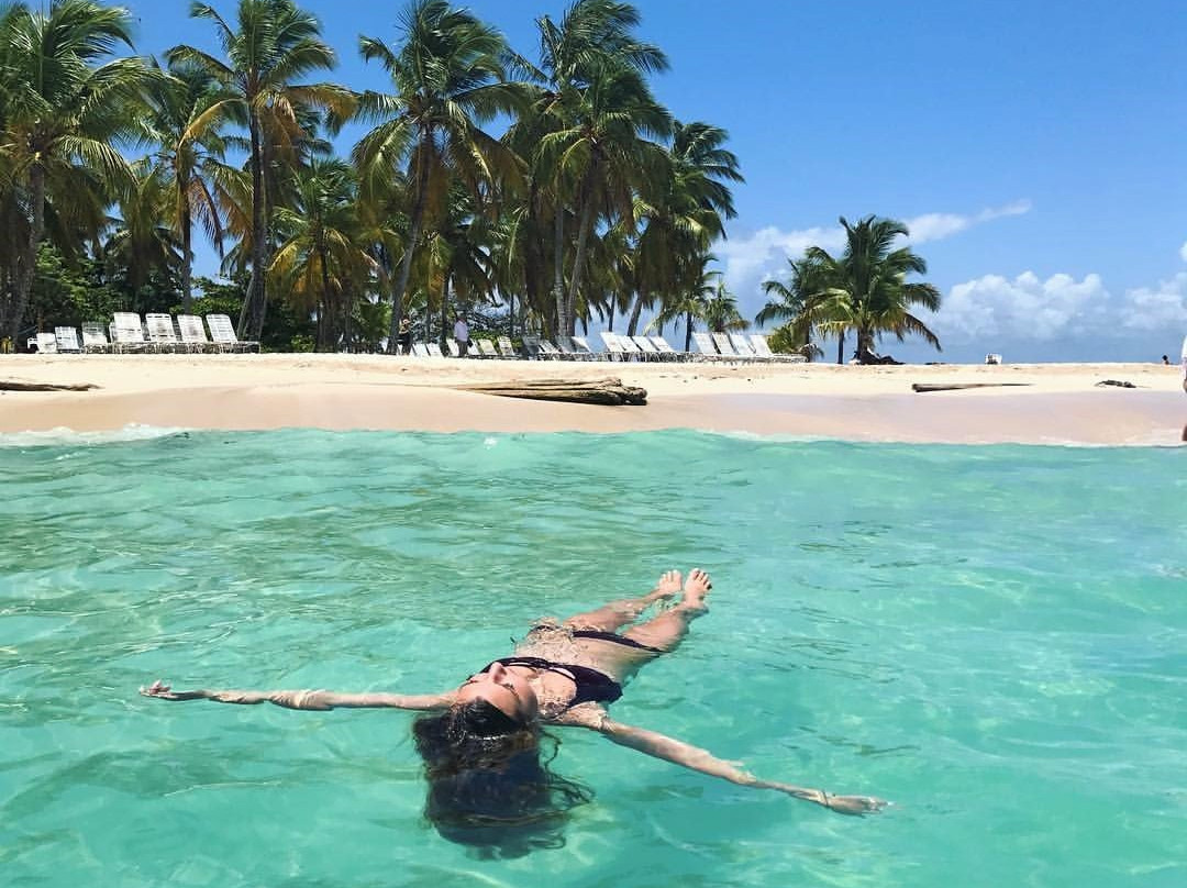 SAMANA WHALE WATCHING TOURS景点图片