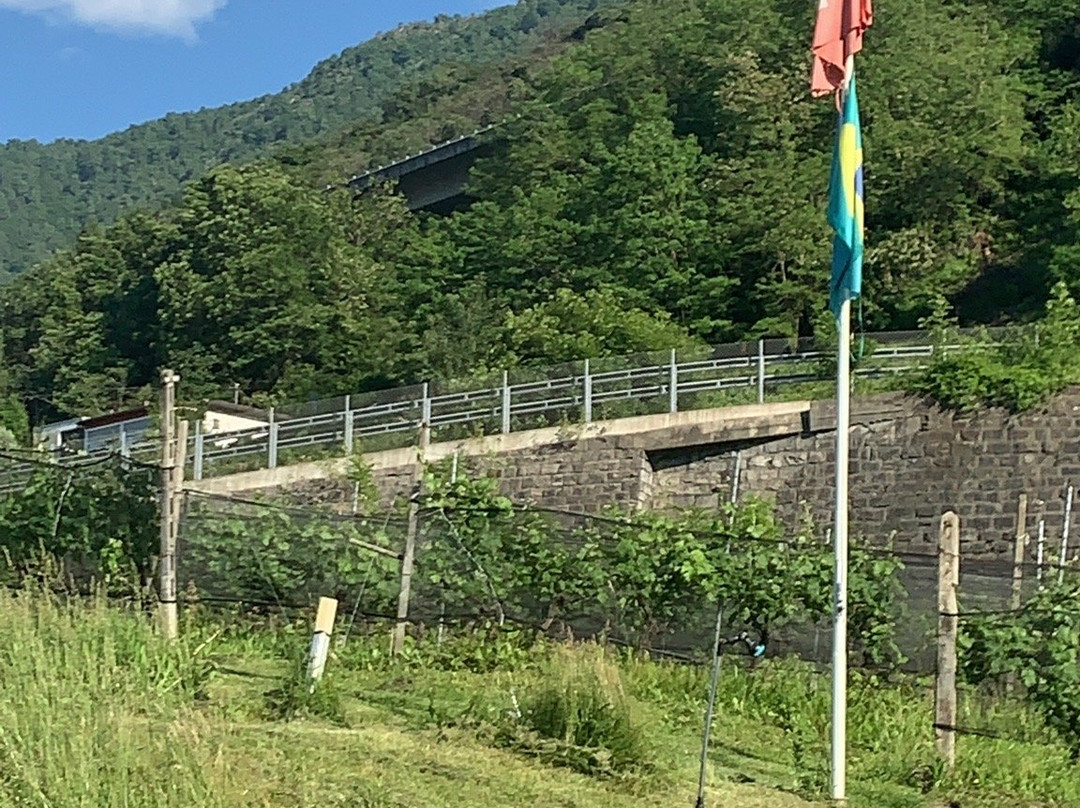 Agriturismo Viva Bacco主图
