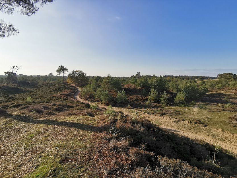 Nationaal Park Drents-Friese Wold景点图片