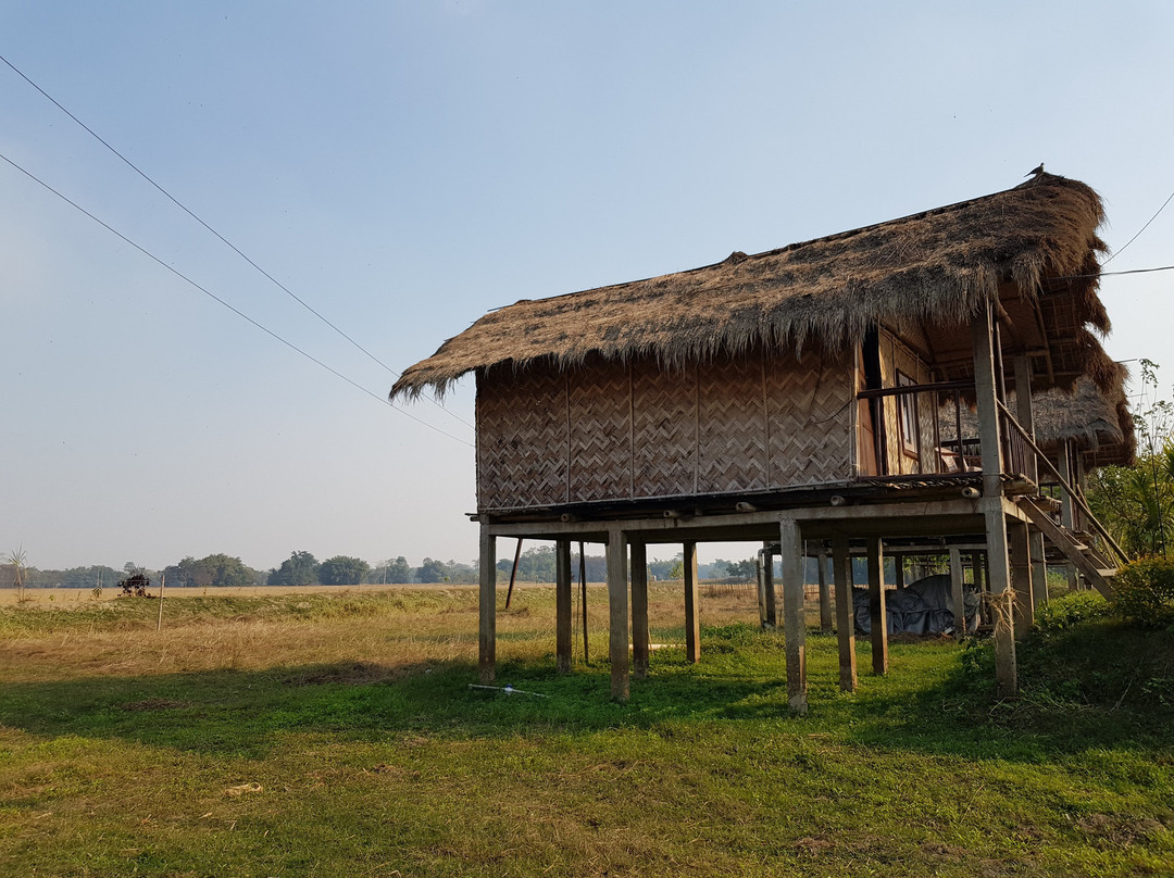 Ygdrasill Bamboo Cottage主图