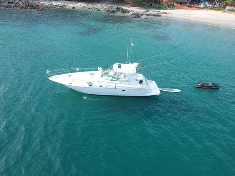 Bicho´s Jackpot Charters-新瓦雅塔必去景点