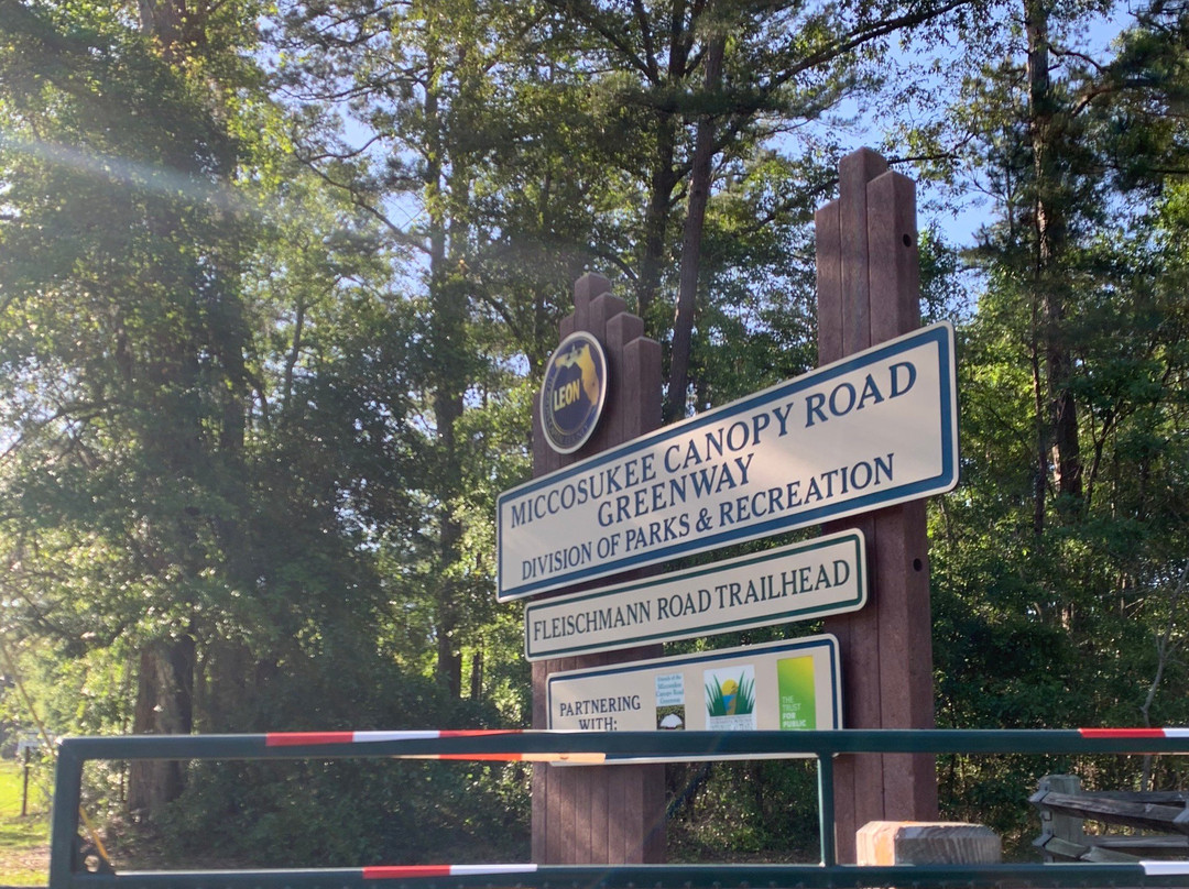 Miccosukee Canopy Road Greenway-塔拉哈西必去景点