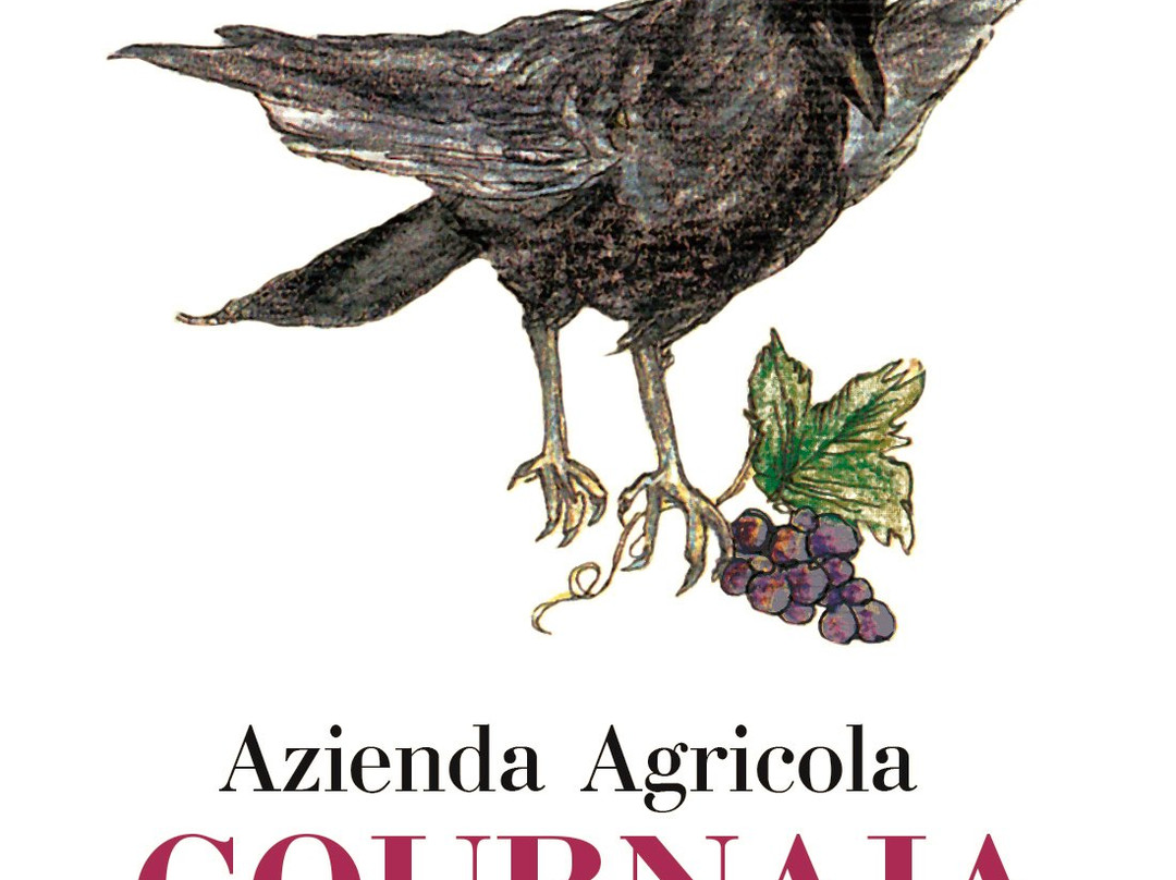 Azienda Agricola Cournaja景点图片