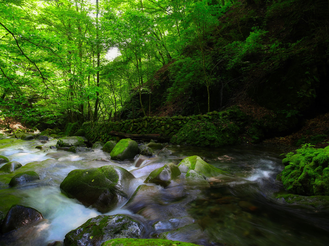 Kosuge-gawa Odaki no Shioji-rin-小菅村必去景点