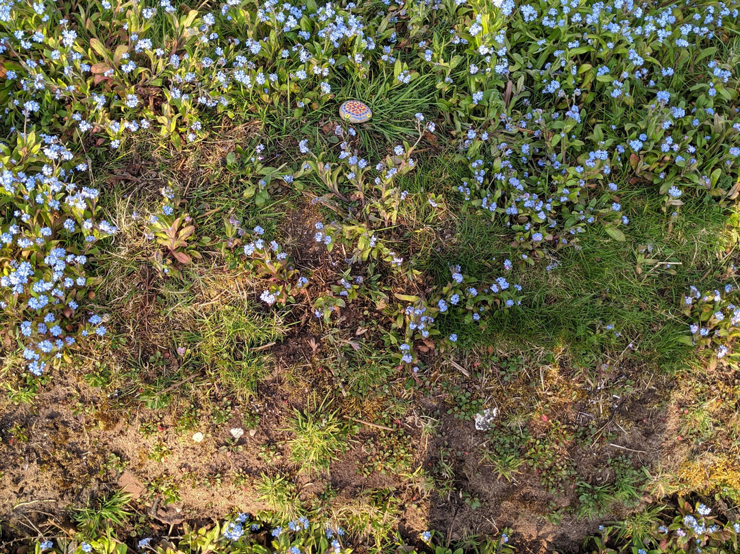 Pex Hill Nature Reserve-威德尼斯必去景点