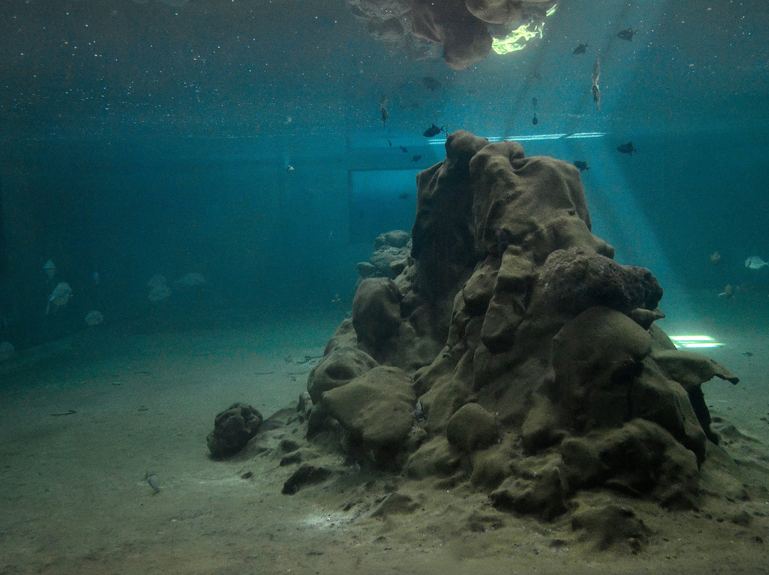 Kavaratti Island Marine Aquarium-Kavaratti Island必去景点