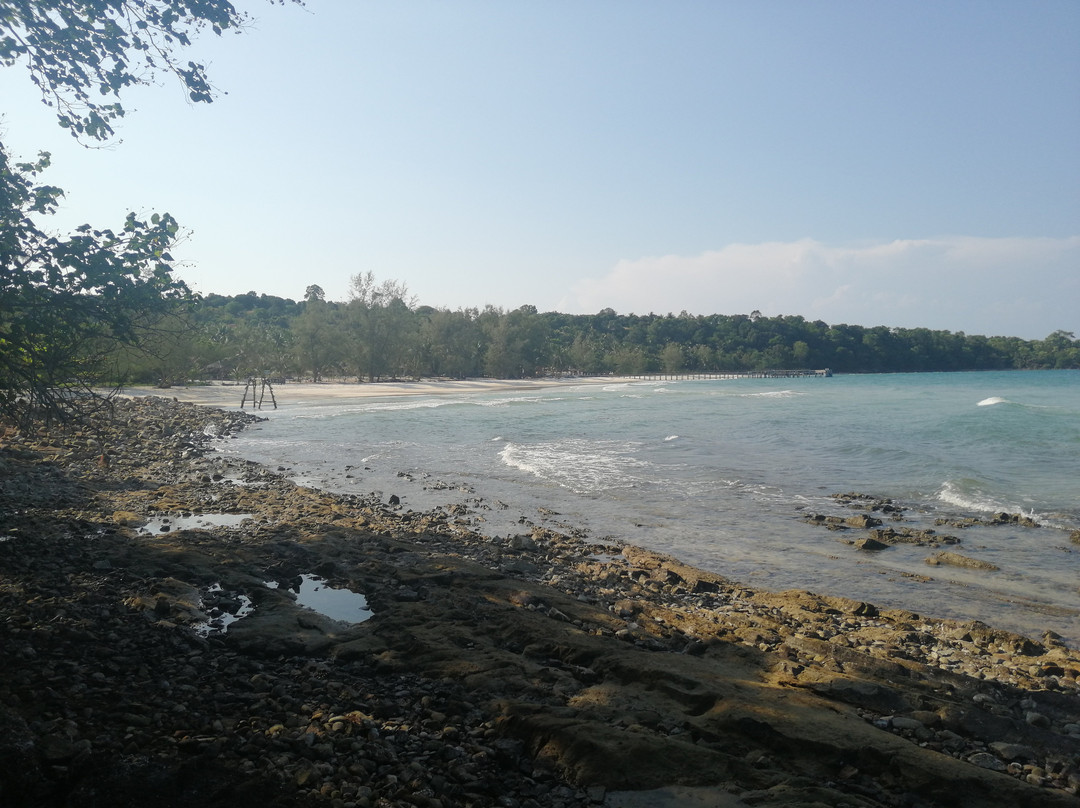 Coconut Beach景点图片