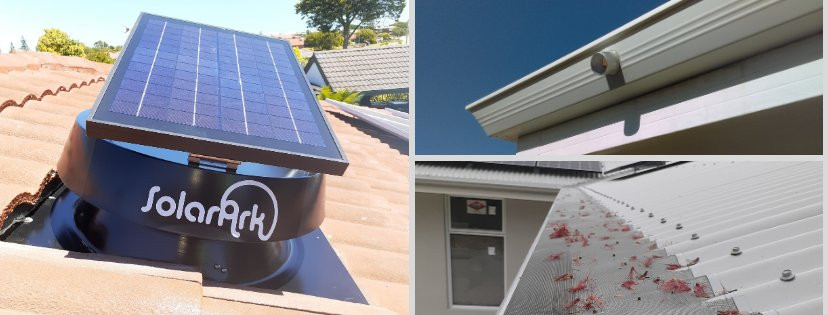 Morley旅游攻略图片