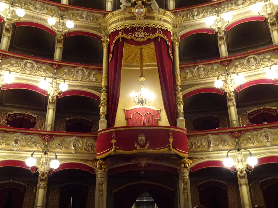 Teatro Massimo Bellini景点图片